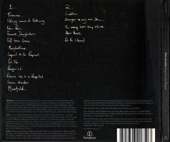 Babyshambles - Sequel To The Prequel