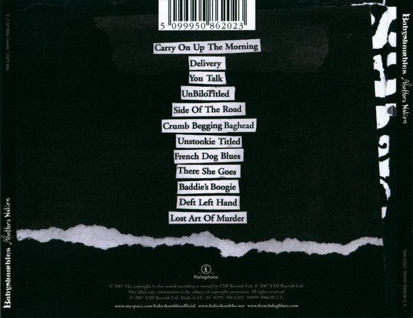 Babyshambles - Shotters Nation