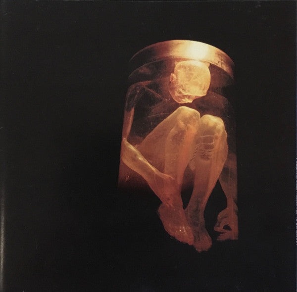 Alice In Chains – Nothing Safe: The Best Of The Box
