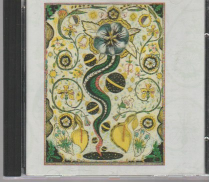 Steve Earle – I Feel Alright