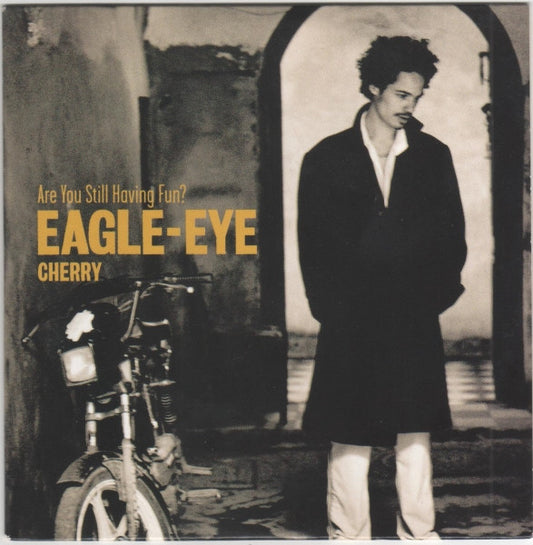 Eagle-Eye Cherry - Are You Still Having Fun