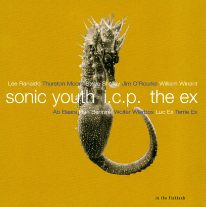Sonic Youth + ICP + Ex, The - In The Fishtank 9