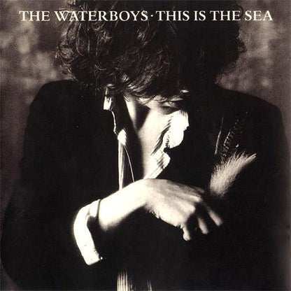 The Waterboys – This Is The Sea