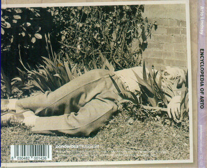 Arto Lindsay - Encyclopedia Of Arto
