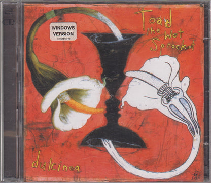 Toad The Wet Sprocket - Dulcinea