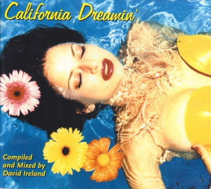 David Ireland - California Dreamin'