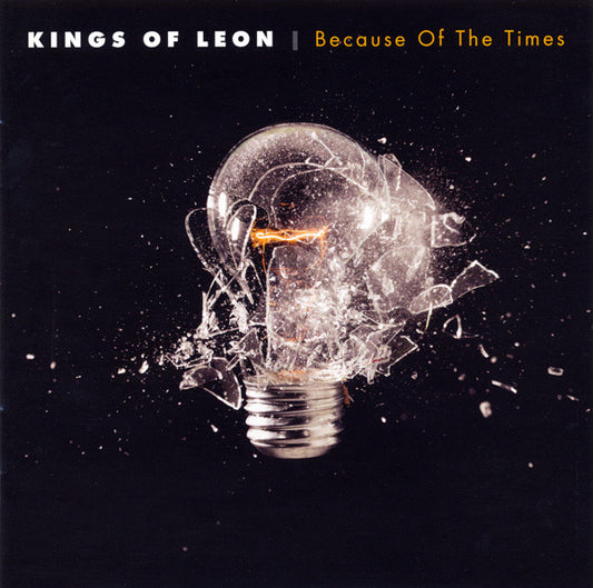 Kings Of Leon - Because Of The Times