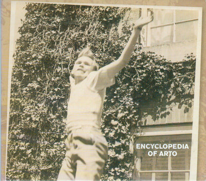 Arto Lindsay - Encyclopedia Of Arto