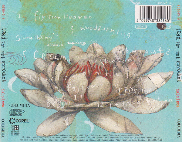 Toad The Wet Sprocket - Dulcinea