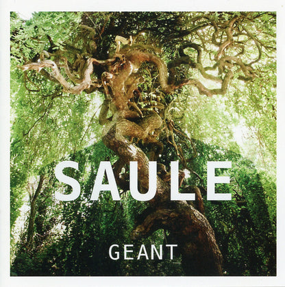Saule - Géant
