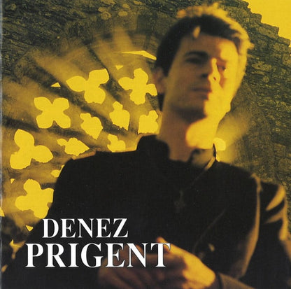 Denez Prigent - Me 'Zalc'h Ennon Ur Fulenn Aour