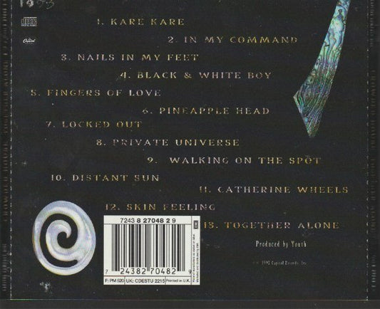 Crowded House – Together Alone