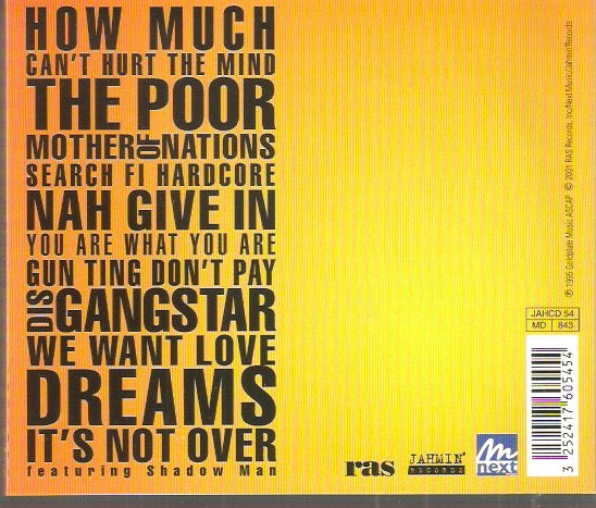 Sizzla – Burning Up
