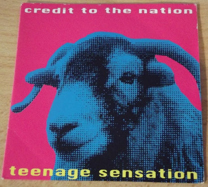 Credit To The Nation - Teenage Sensation