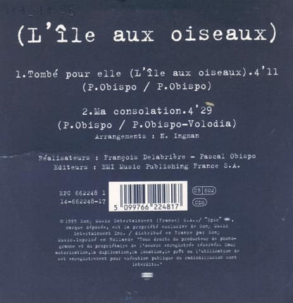 Pascal Obispo - Tombé Pour Elle