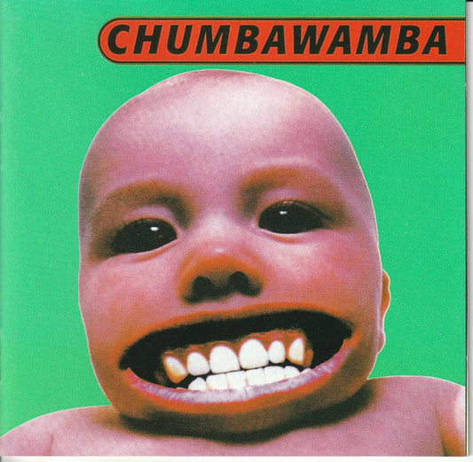 Chumbawamba - Tubthumper