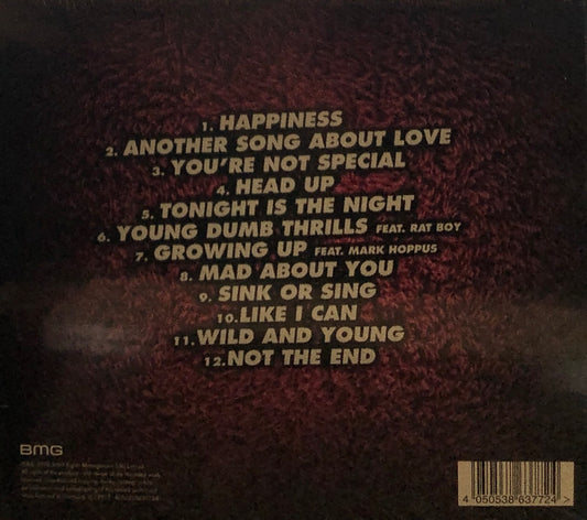 McFly - Young Dumb Thrills
