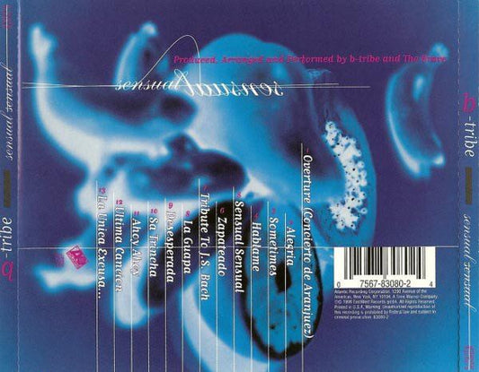 B-Tribe - Sensual Sensual