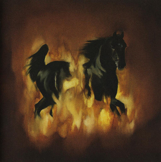The Besnard Lakes – The Besnard Lakes Are The Dark Horse