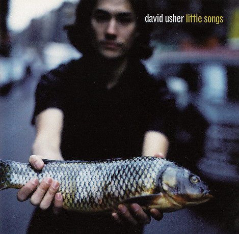 David Usher - Little Songs