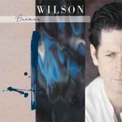Brian Wilson – Brian Wilson