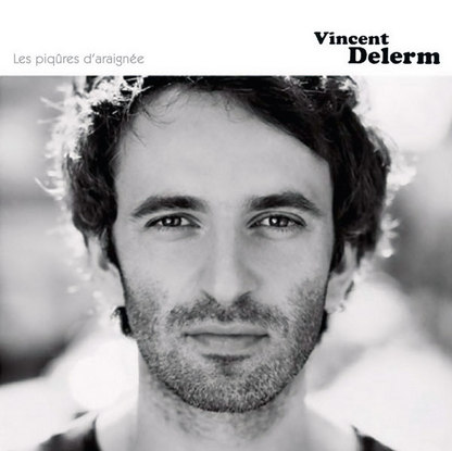 Vincent Delerm – Les Piqûres D'Araignée