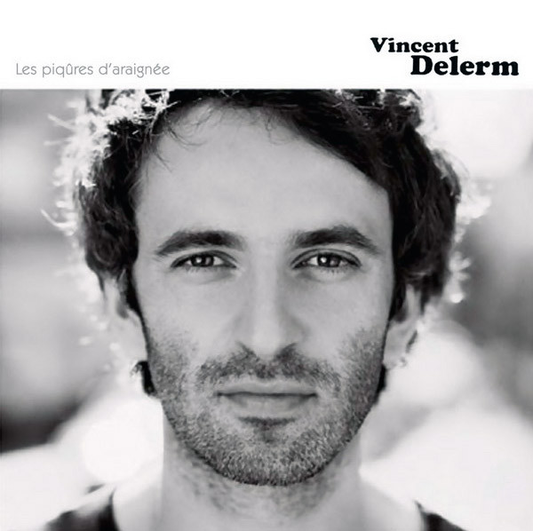 Vincent Delerm – Les Piqûres D'Araignée