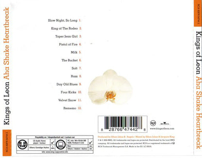 Kings Of Leon - Aha Shake Heartbreak