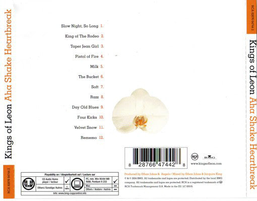 Kings Of Leon - Aha Shake Heartbreak