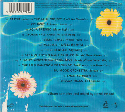 David Ireland - California Dreamin'