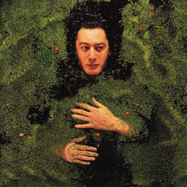 Alain Bashung – Fantaisie Militaire