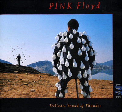Pink Floyd – Delicate Sound Of Thunder