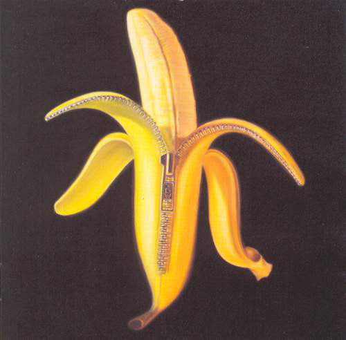 The Dandy Warhols – Welcome To The Monkey House
