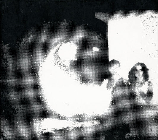 Other Lives – Tamer Animals