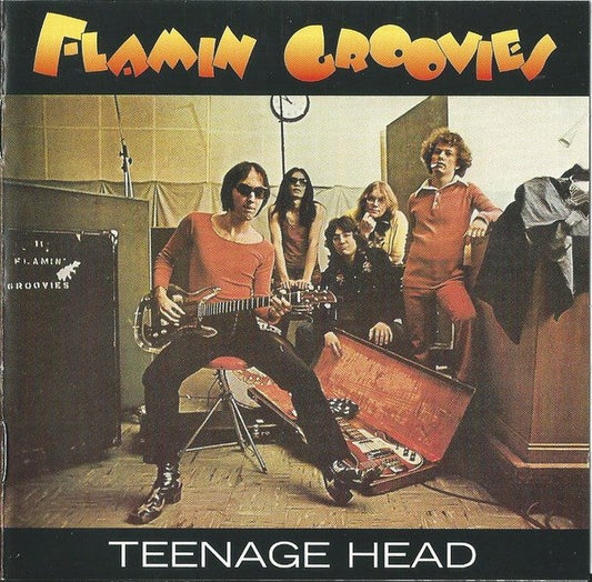 Flamin Groovies Teenage Head