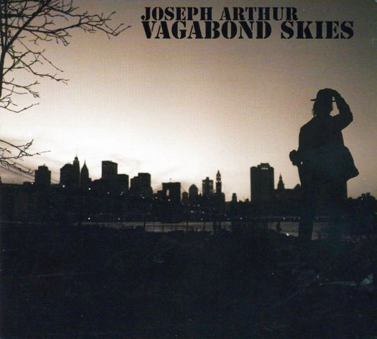 Joseph Arthur  Vagabond Skies