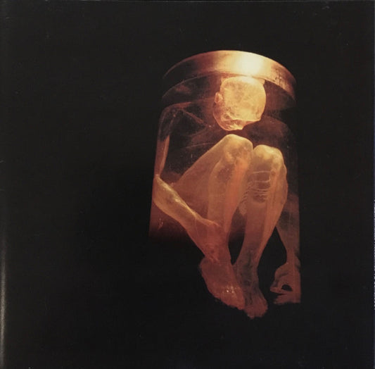 Alice In Chains – Nothing Safe: The Best Of The Box