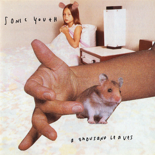 Sonic Youth – A Thousand Leaves