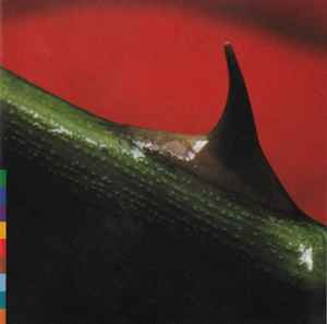 Nusrat Fateh Ali Khan & Michael Brook – Night Song