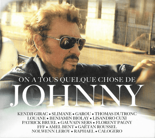 On A Tous Quelque Chose De Johnny