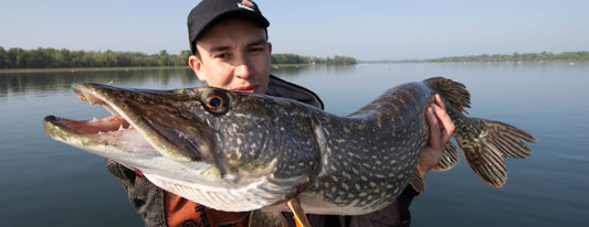 Pike is mine